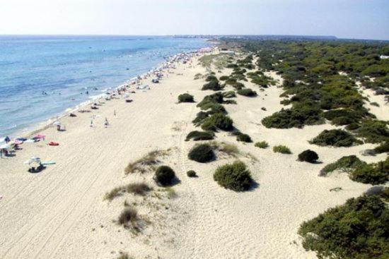 Felline In Bed&Breakfast Dimora Di Charme El Salento Exterior foto